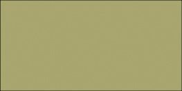 Army
