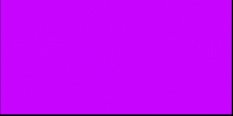 Fucsia Fluor
