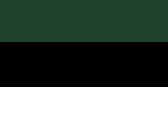 Bottle Green/Black/White